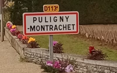 Saint-Vincent Tournante 2022