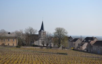 Saint-Vincent Chassagne-Montrachet 2022